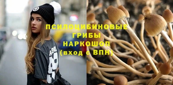 стафф Баксан